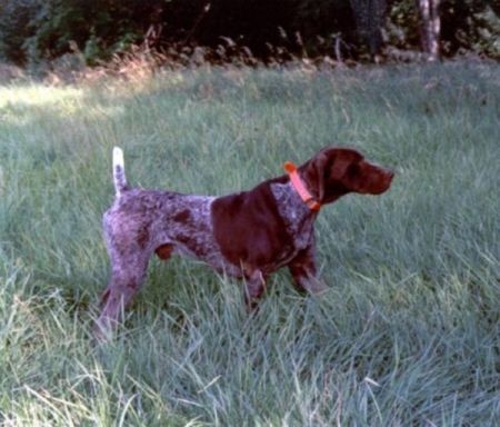 FIELDMASTER'S SINCITY SINNER